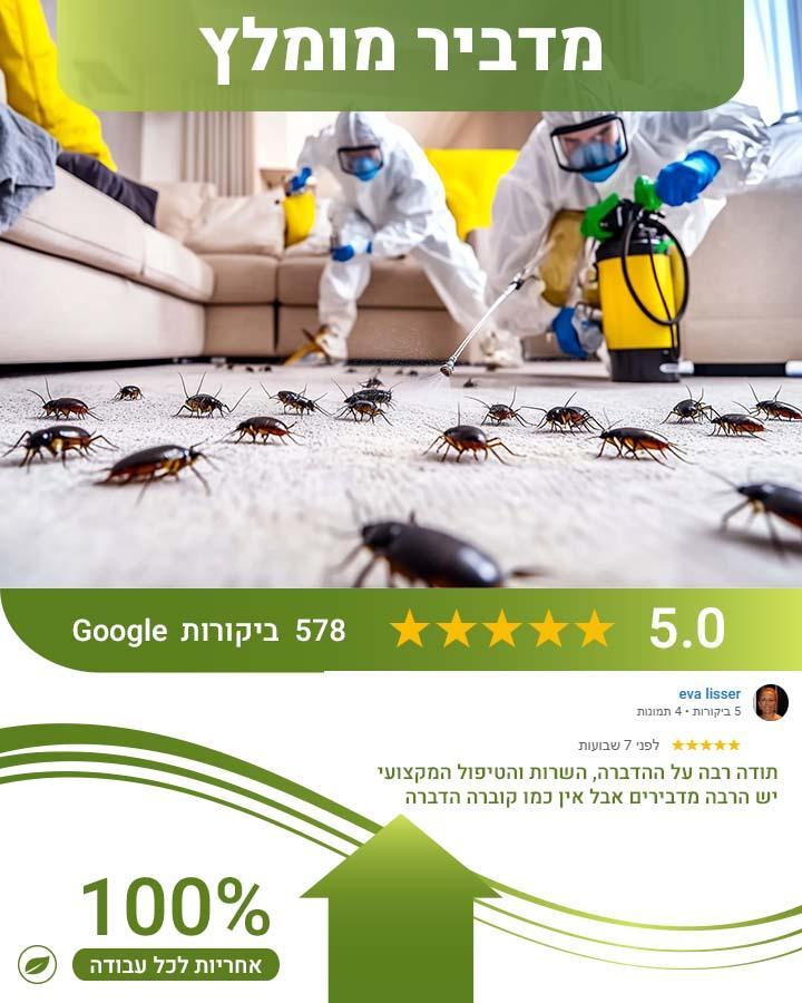 חרקים קטנים על הקירות