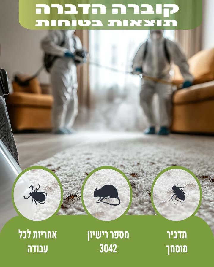 חרקים קטנים על הקירות