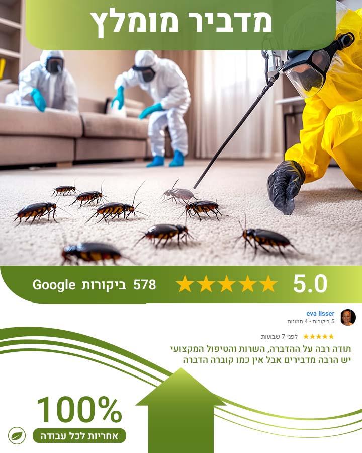 טרמיטים בקיר