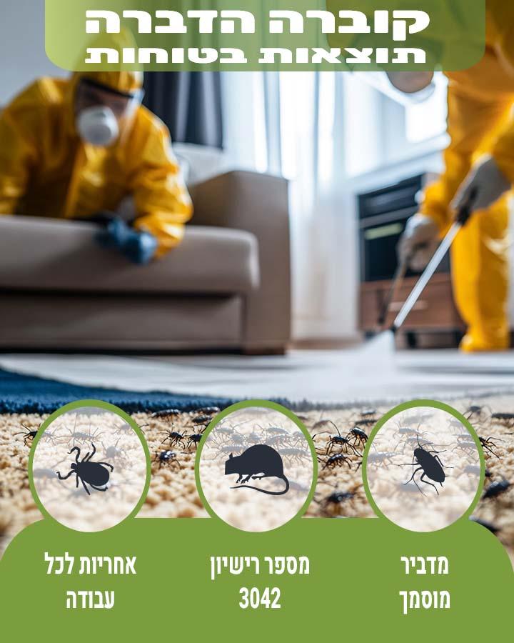 טרמיטים בקיר