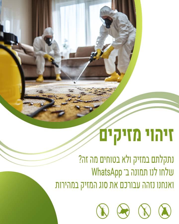 יתוש עש