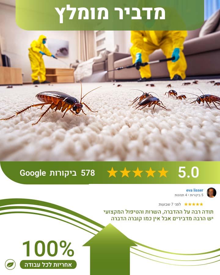 לוכד חולדות באבן יהודה