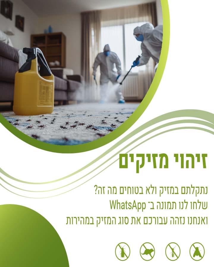 לוכד חולדות באור יהודה