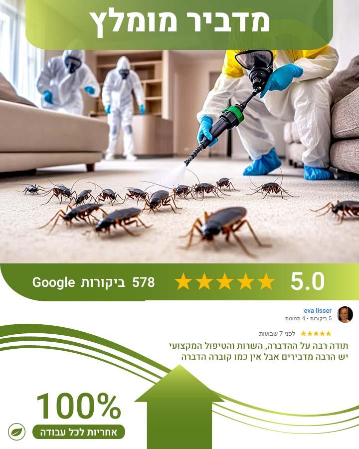 לוכד חולדות באלעד