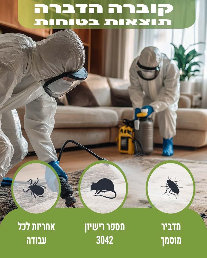 לוכד חולדות באלעד