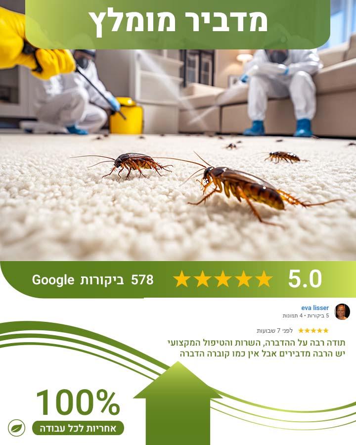 לוכד חולדות באשדוד