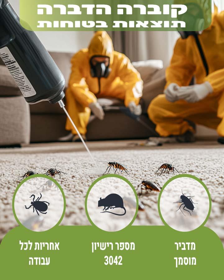 לוכד חולדות באשדוד