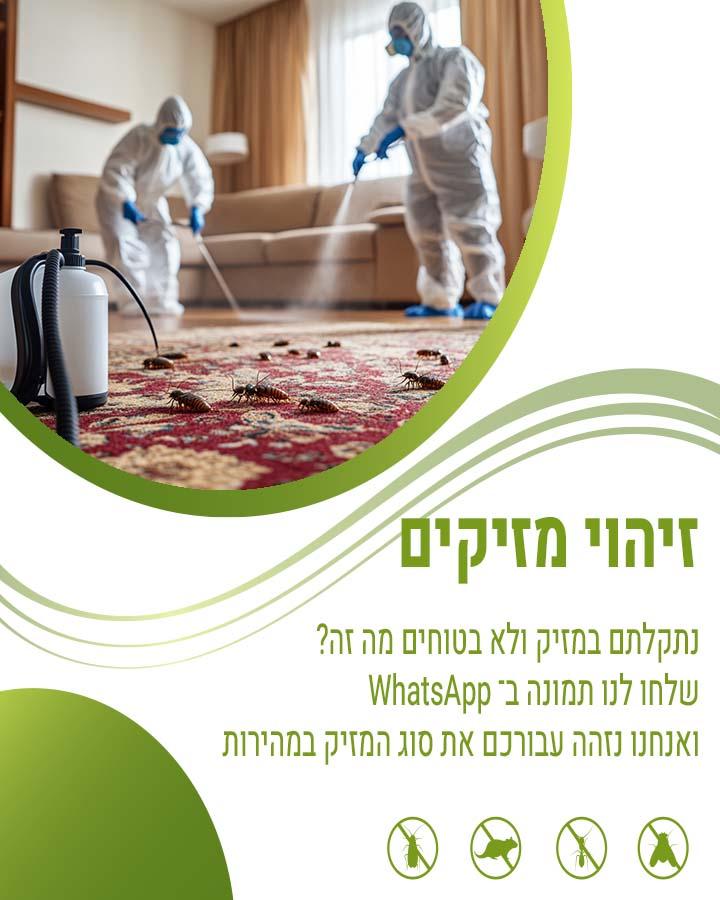לוכד חולדות בבאר יעקב