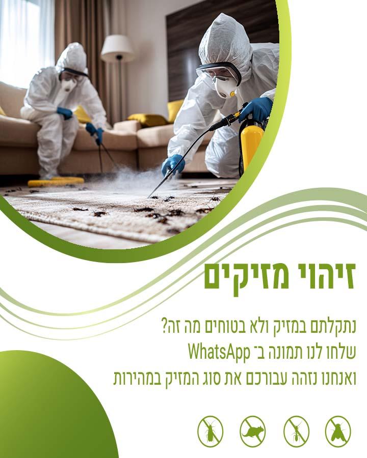 לוכד חולדות בבני ברק
