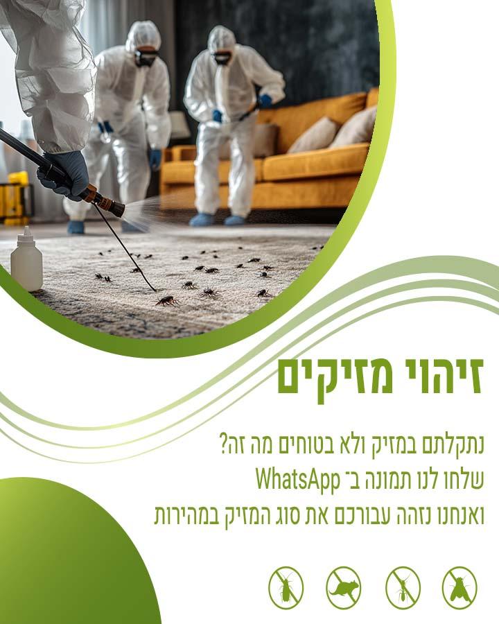 לוכד חולדות בבת ים