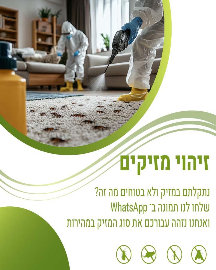 לוכד חולדות בגדרה
