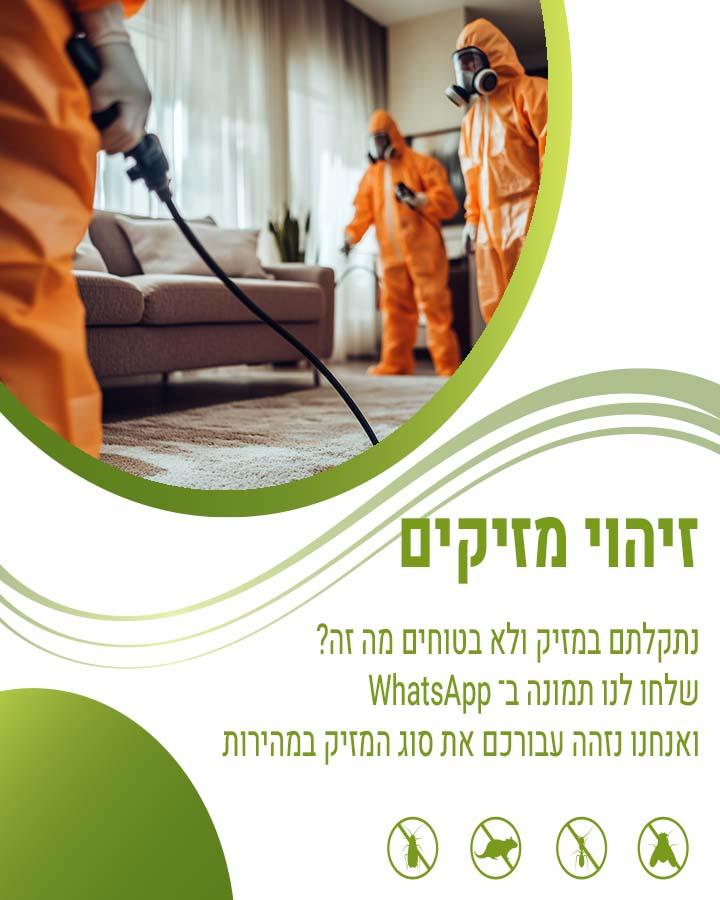 לוכד חולדות בהוד השרון