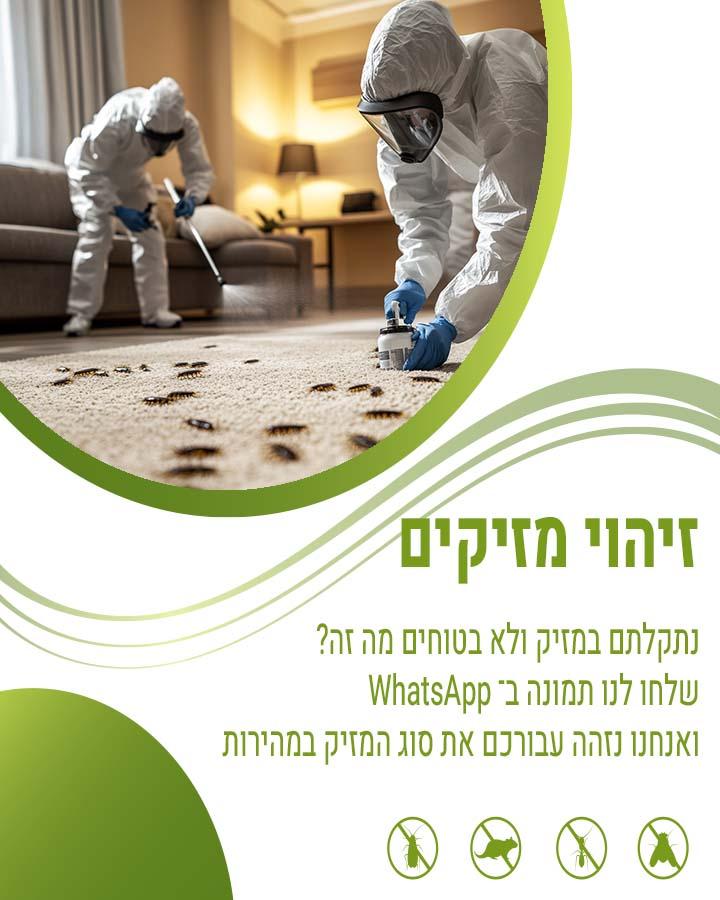 לוכד חולדות בהרצליה