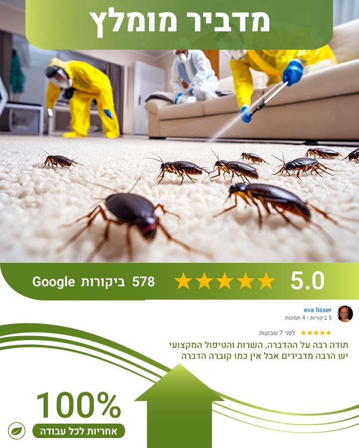 לוכד חולדות בהרצליה