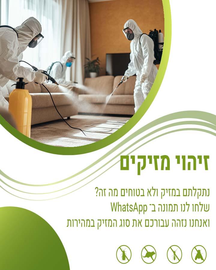 לוכד חולדות בחולון