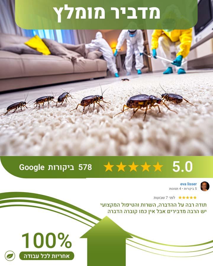לוכד חולדות בחולון