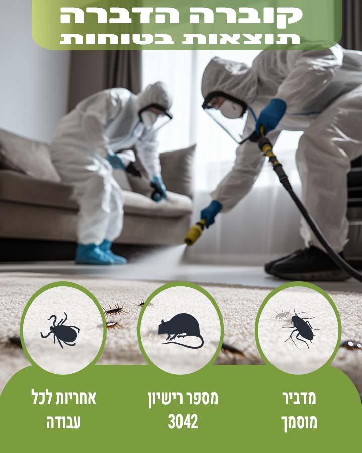 לוכד חולדות בחולון