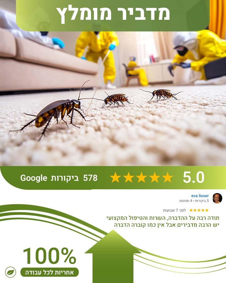 לוכד חולדות ביבנה