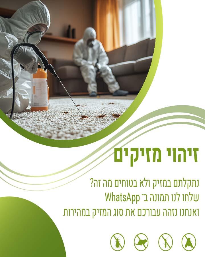 לוכד חולדות ביהוד