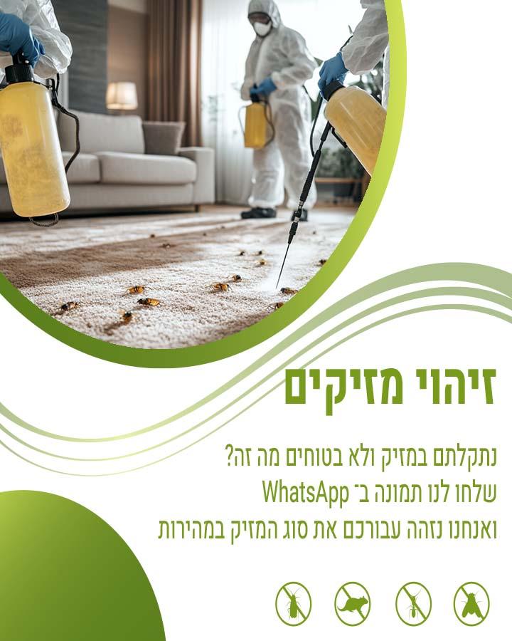 לוכד חולדות בכפר סבא