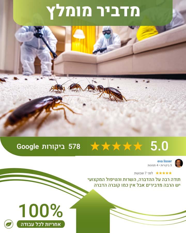 לוכד חולדות בכפר סבא