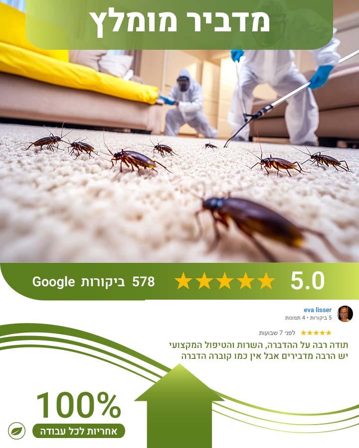 לוכד חולדות בלוד