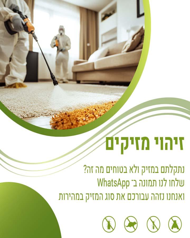 לוכד חולדות בנס ציונה