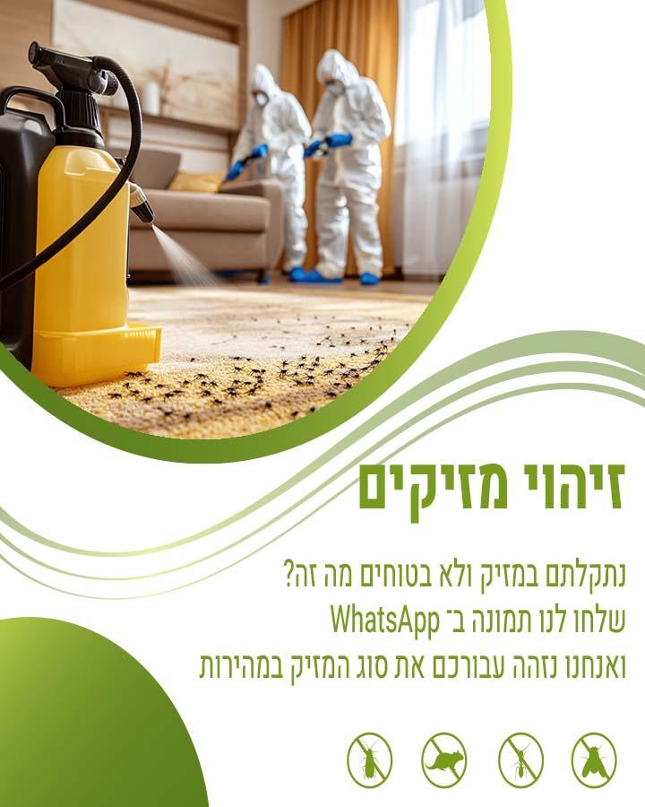 לוכד חולדות בסביון