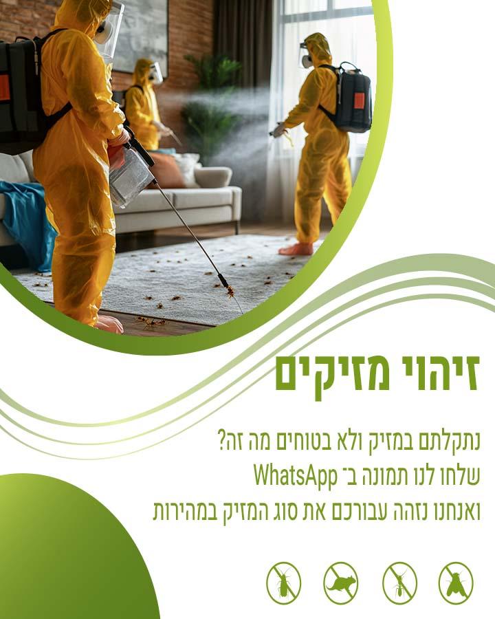 לוכד חולדות בפתח תקווה