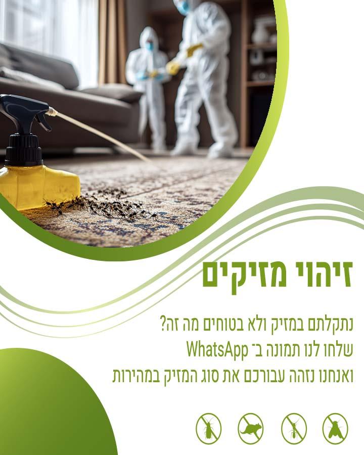 לוכד חולדות בקרית אונו