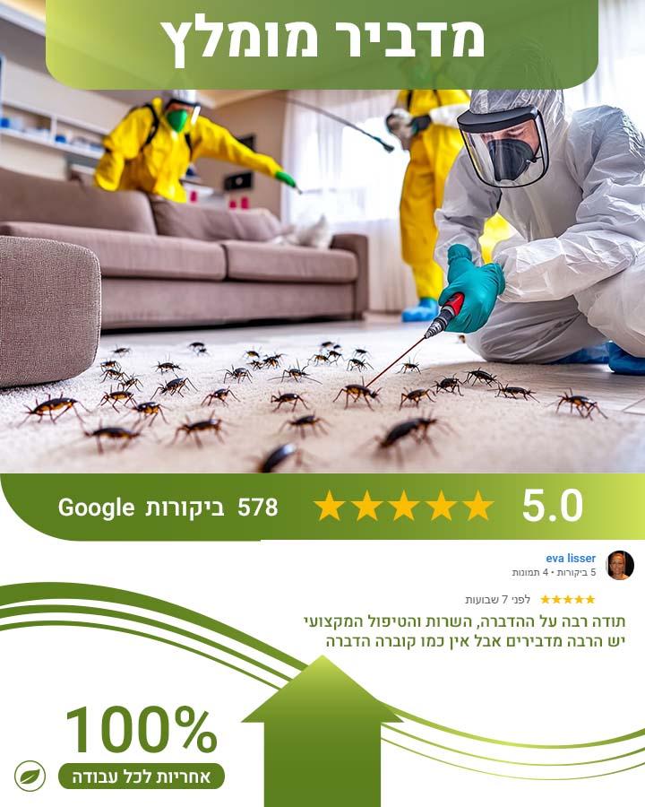 לוכד חולדות בראשון לציון