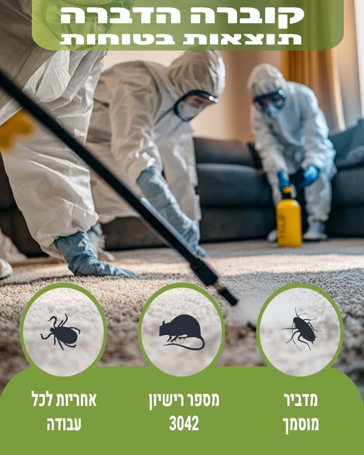 לוכד חולדות ברחובות