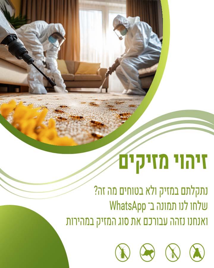 לוכד חולדות ברמלה