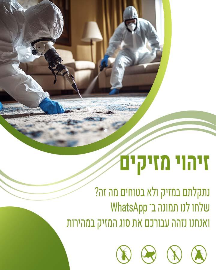 לוכד חולדות ברמת השרון