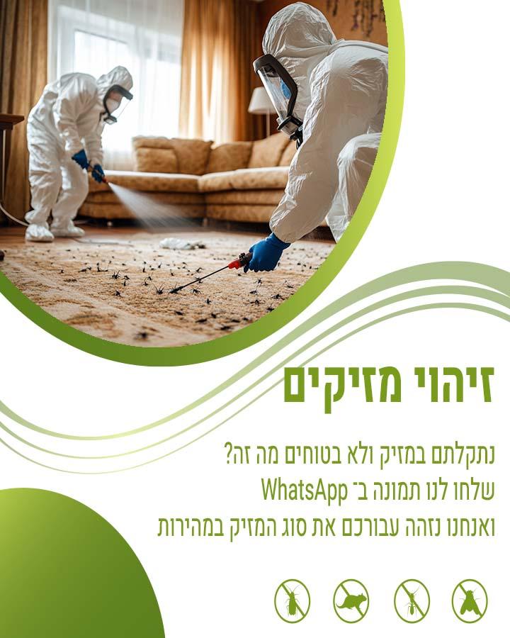 לוכד חולדות ברעננה