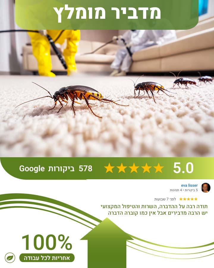 לוכד חולדות בשוהם