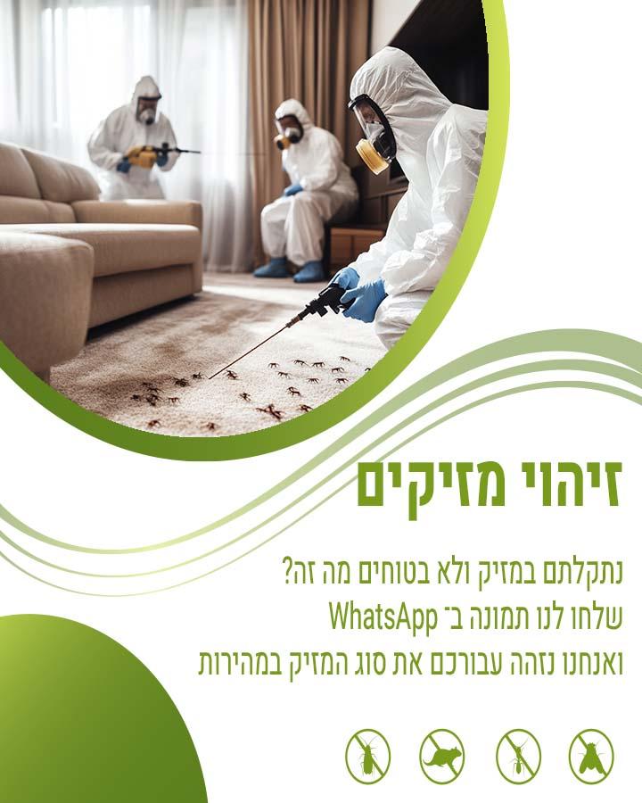 לוכד חולדות בתל אביב