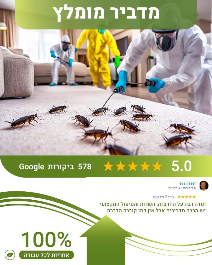לוכד חולדות בתל מונד