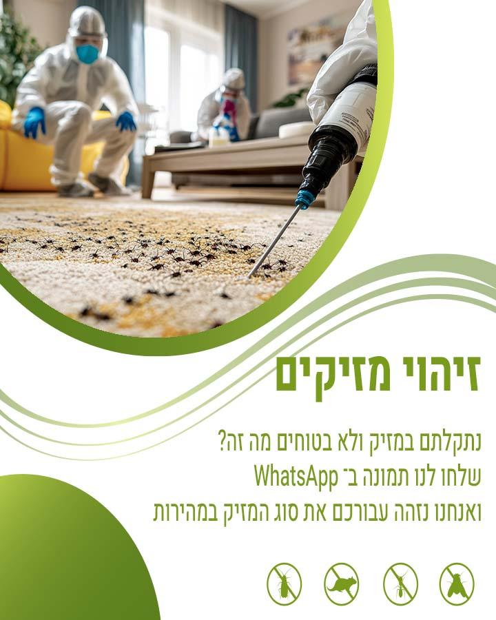 לוכד יונים