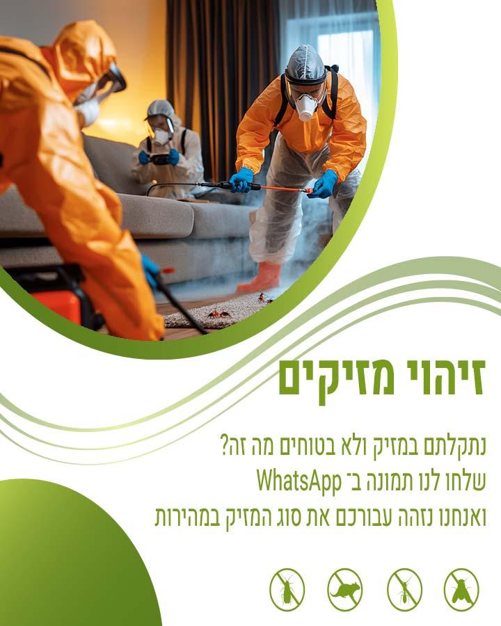 לוכד עכברים באור יהודה