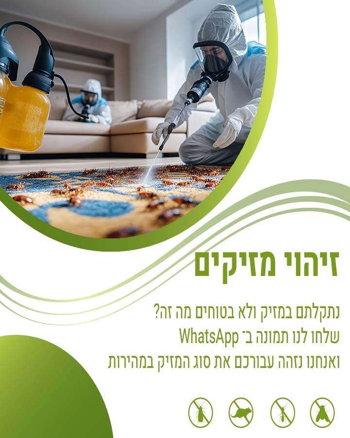 לוכד עכברים באלעד
