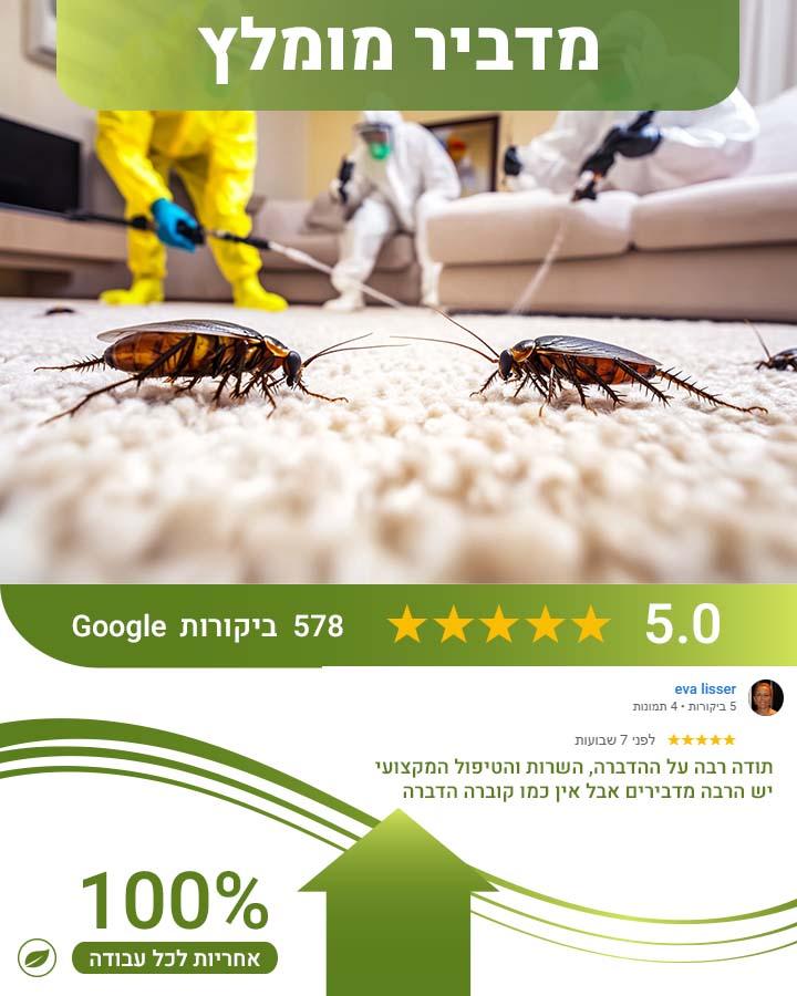 לוכד עכברים באלעד