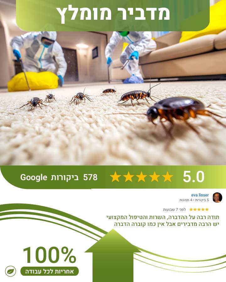 לוכד עכברים באשדוד