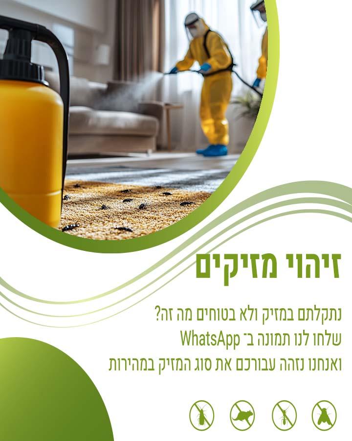 לוכד עכברים באשקלון