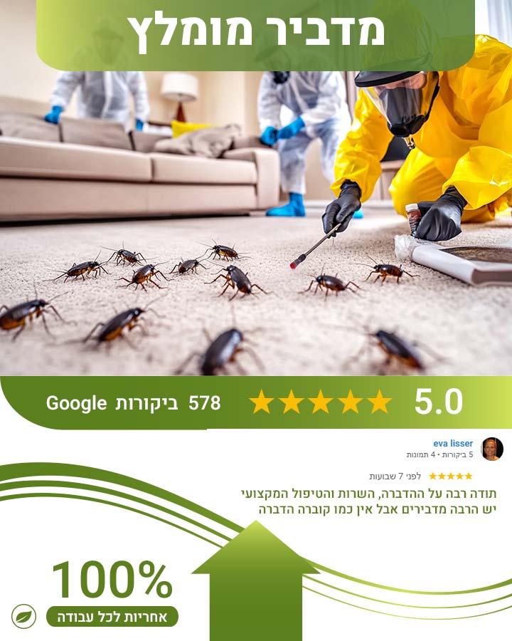 לוכד עכברים באשקלון