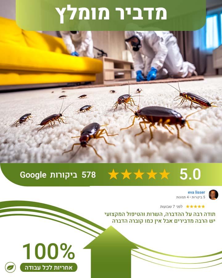 לוכד עכברים בבאר יעקב