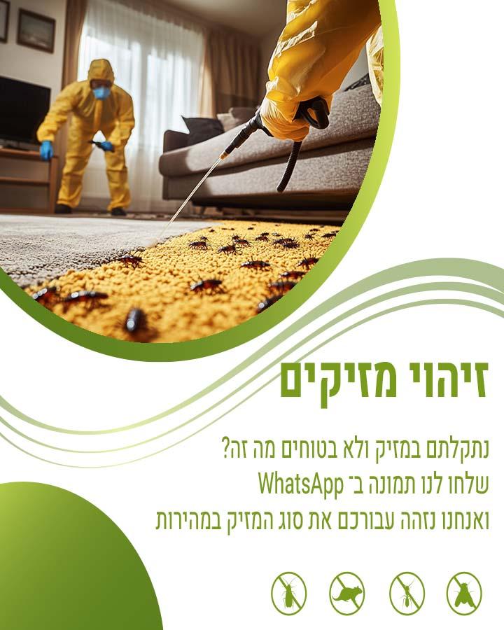 לוכד עכברים בבאר שבע