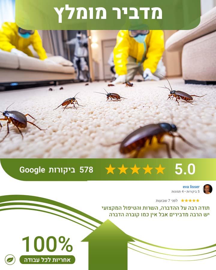 לוכד עכברים בבאר שבע