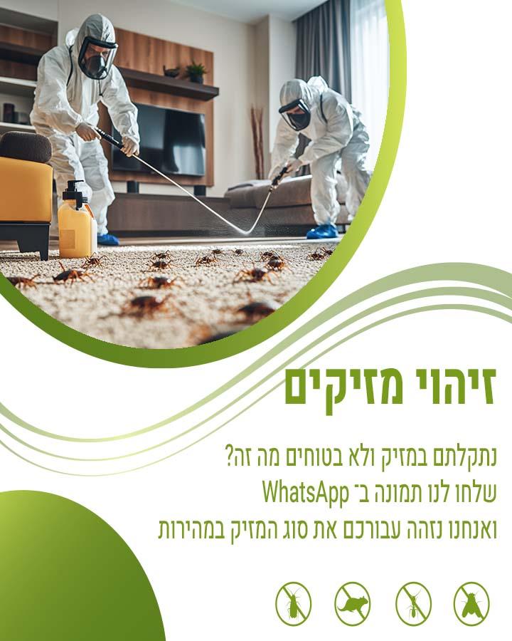 לוכד עכברים בבת ים