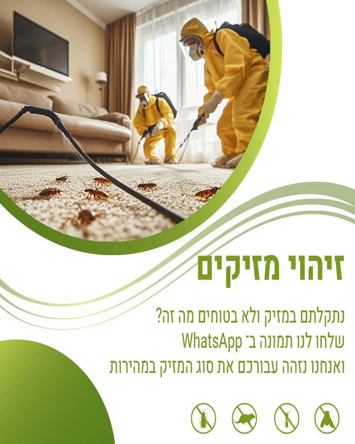 לוכד עכברים בגבעתיים